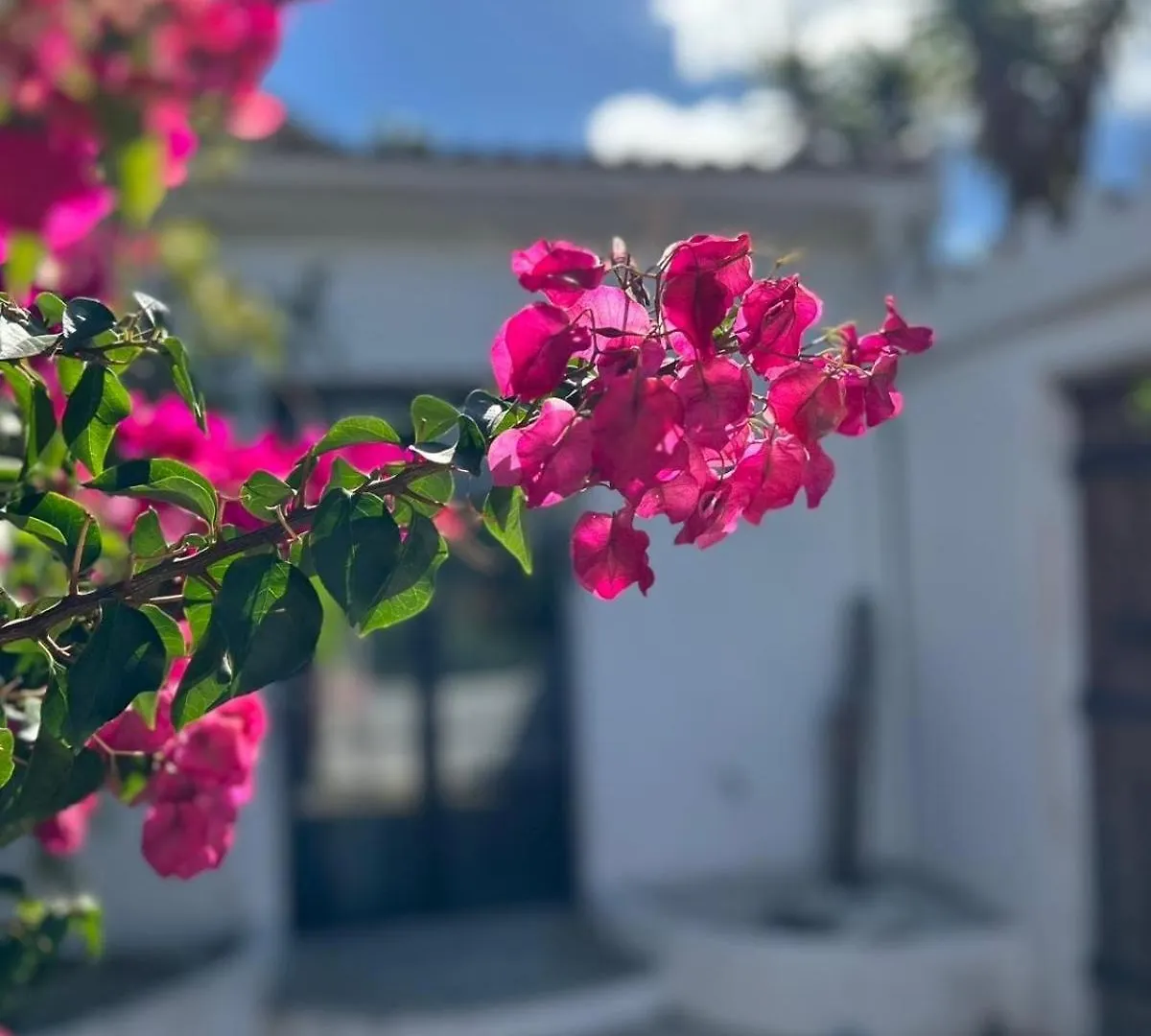 Holiday home Casa Bizon - Your Holiday Oasis With Private Pool Competa Spain