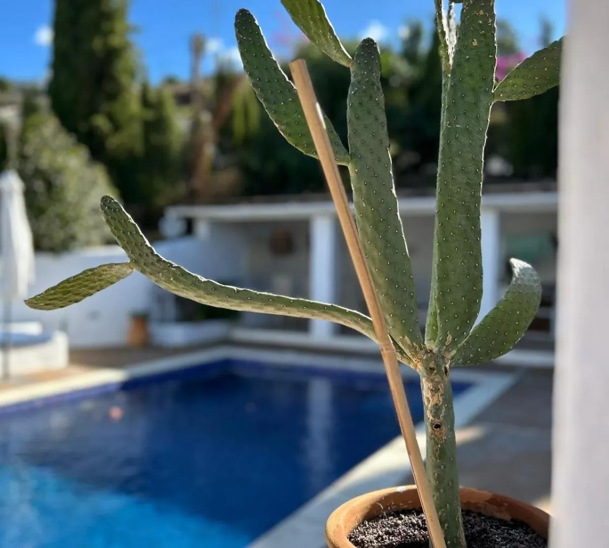 Casa Bizon - Your Holiday Oasis With Private Pool Cómpeta